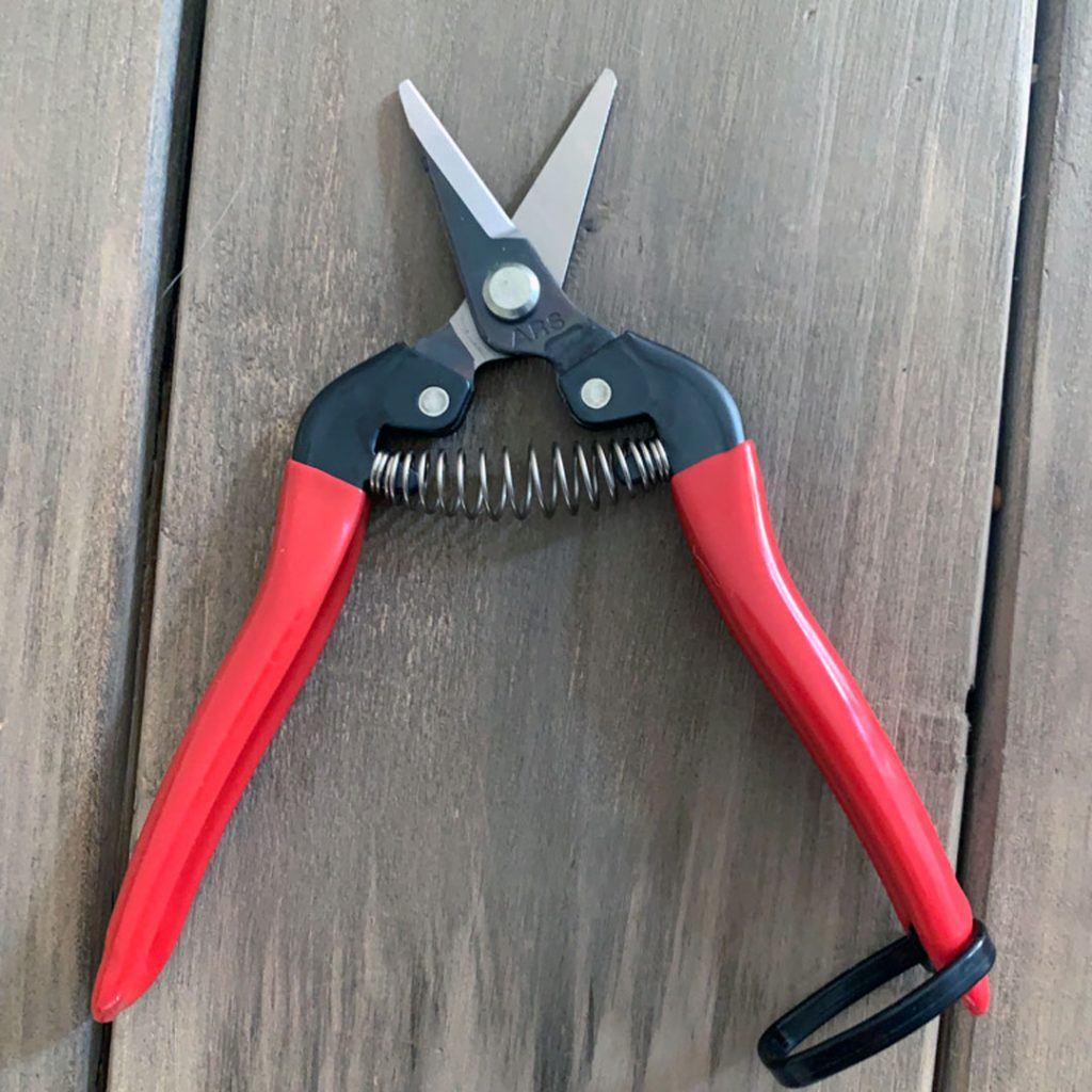 ARS Fruits Pruners 300SS Laughing Goat Flower Farm