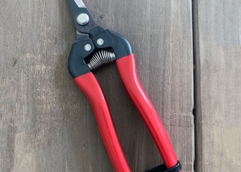 ARS Fruits Pruners 300SS