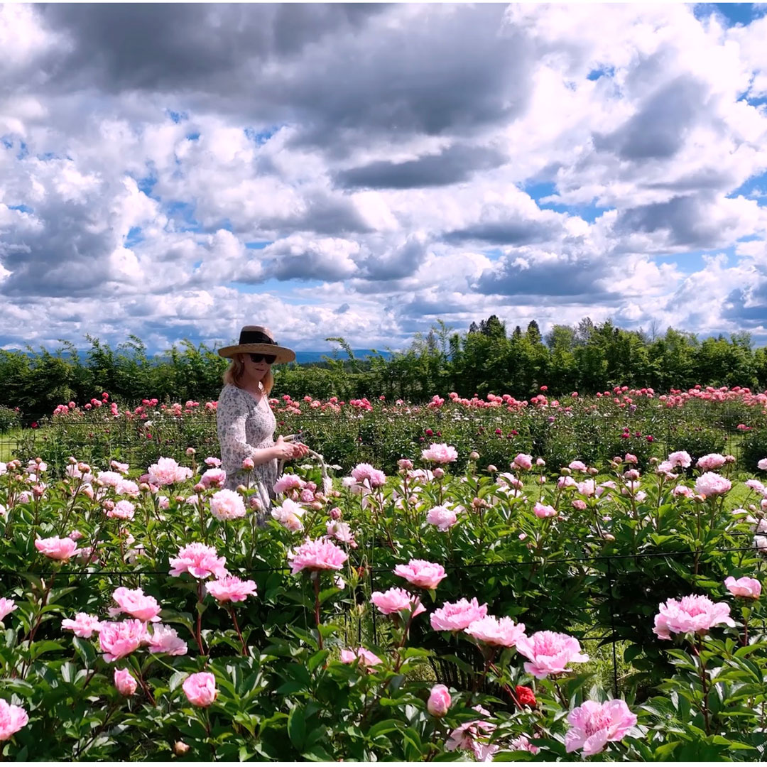 Peony Stroll