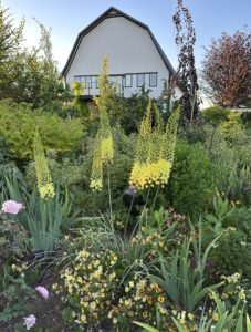 January 2025 Garden Journal