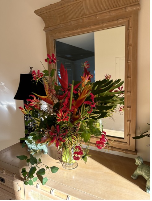 January 2025 Garden Journal