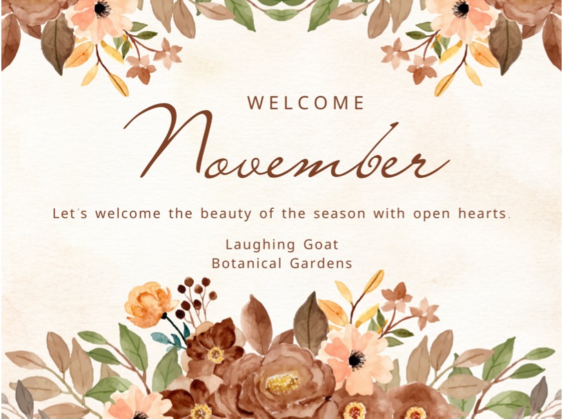 November 2025 Garden Journal