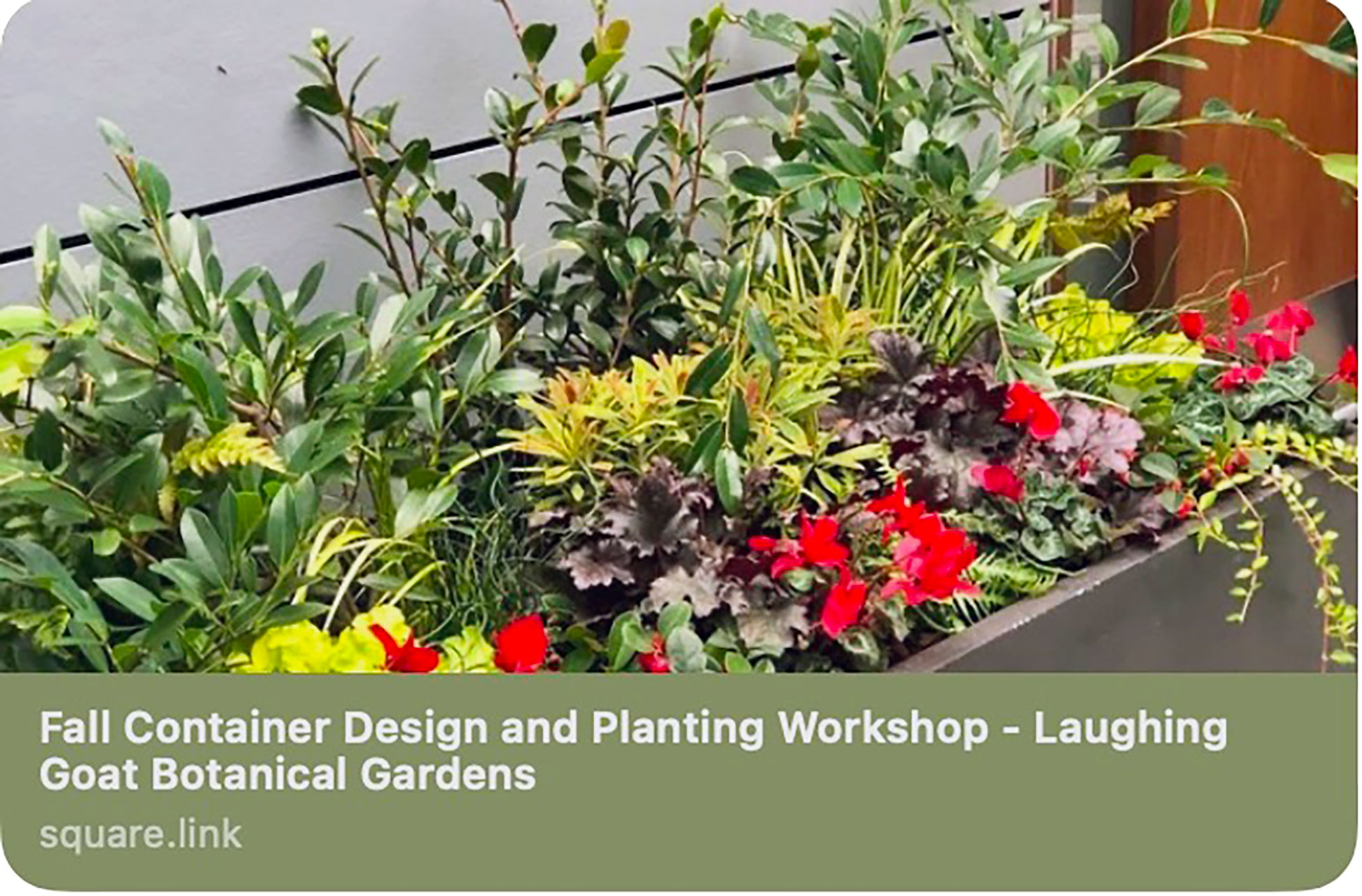 Fall-Container-Design-and-Planting-Workshop---Laughinga