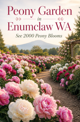 Peony Garden