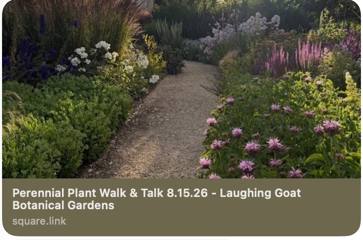 Perennial Plant Walk & Talk 8.15.26 - Laughing Goat