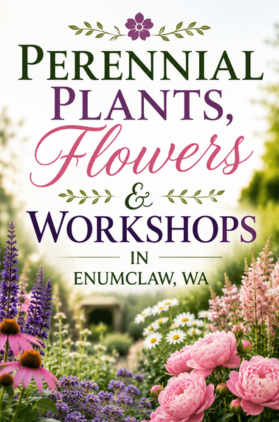 Perennial Plants, Flowers