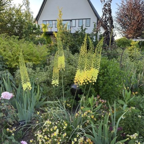 January 2025 Garden Journal