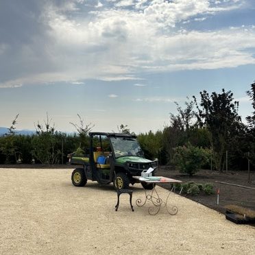 January 2025 Garden Newsletter